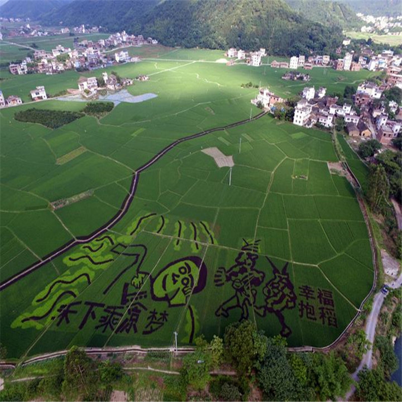 灌陽(yáng)縣灌陽(yáng)縣