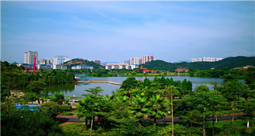 長(zhǎng)洲區(qū)