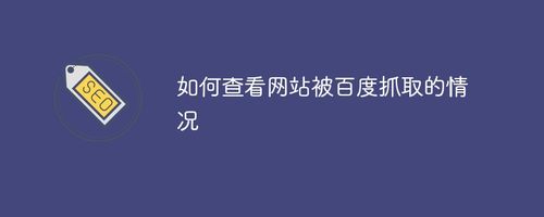 如何查看網站被百度抓取的情況？
