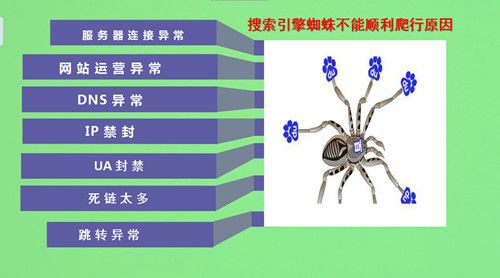 搜索引擎蜘蛛不抓同IP？剖析蜘蛛抓取運行
